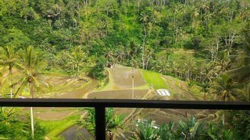 Resort Suarapura & 4*